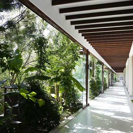 The LifeCo Bodrum Well-Being Detox Center&Vegan Hotel Göltürkbükü Exterior foto